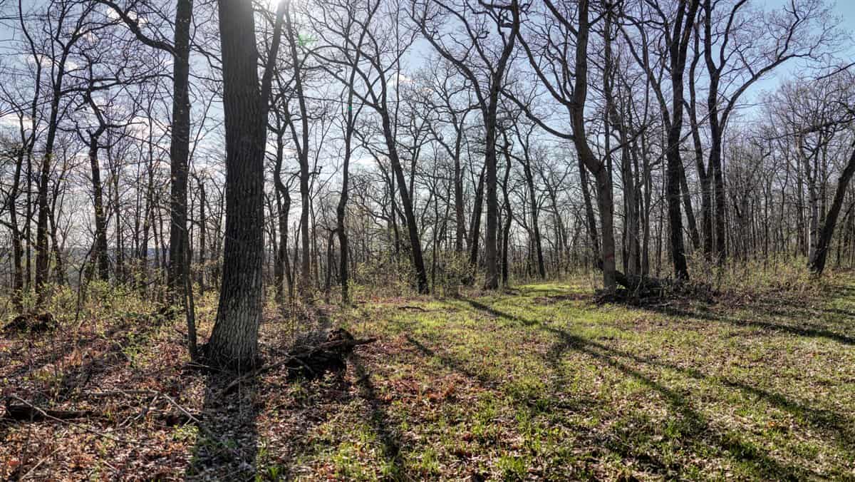 Premium 32+/- Acre Parcel in La Crosse County WI