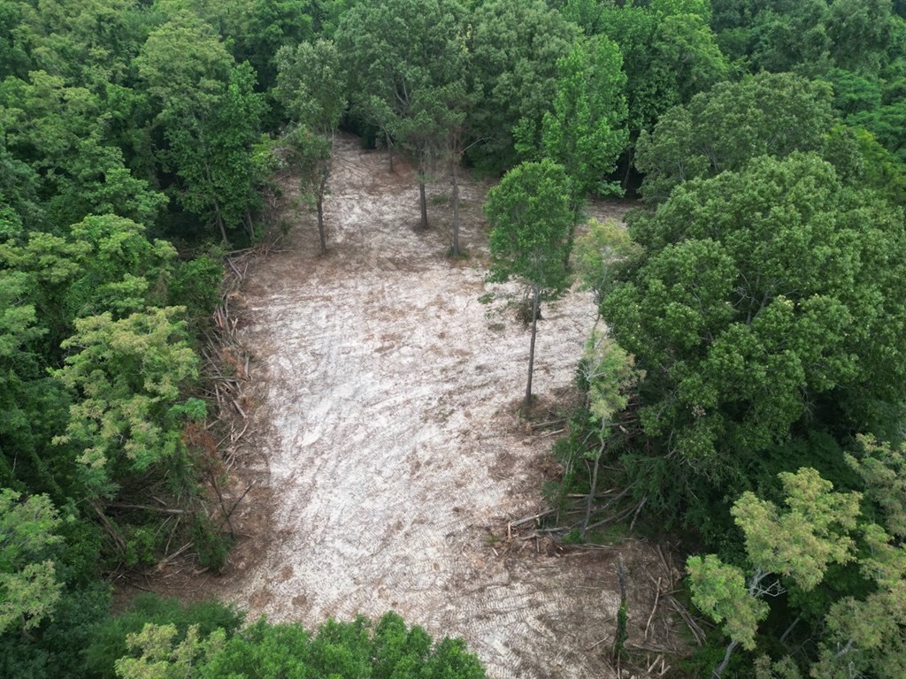 Hamburg 41: Hunting Land for Sale in Roxie, Mississippi
