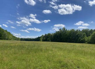 LAND FOR SALE IN TN, 39 AC+/-, CREEK, OPEN & WOODED, HUNTING