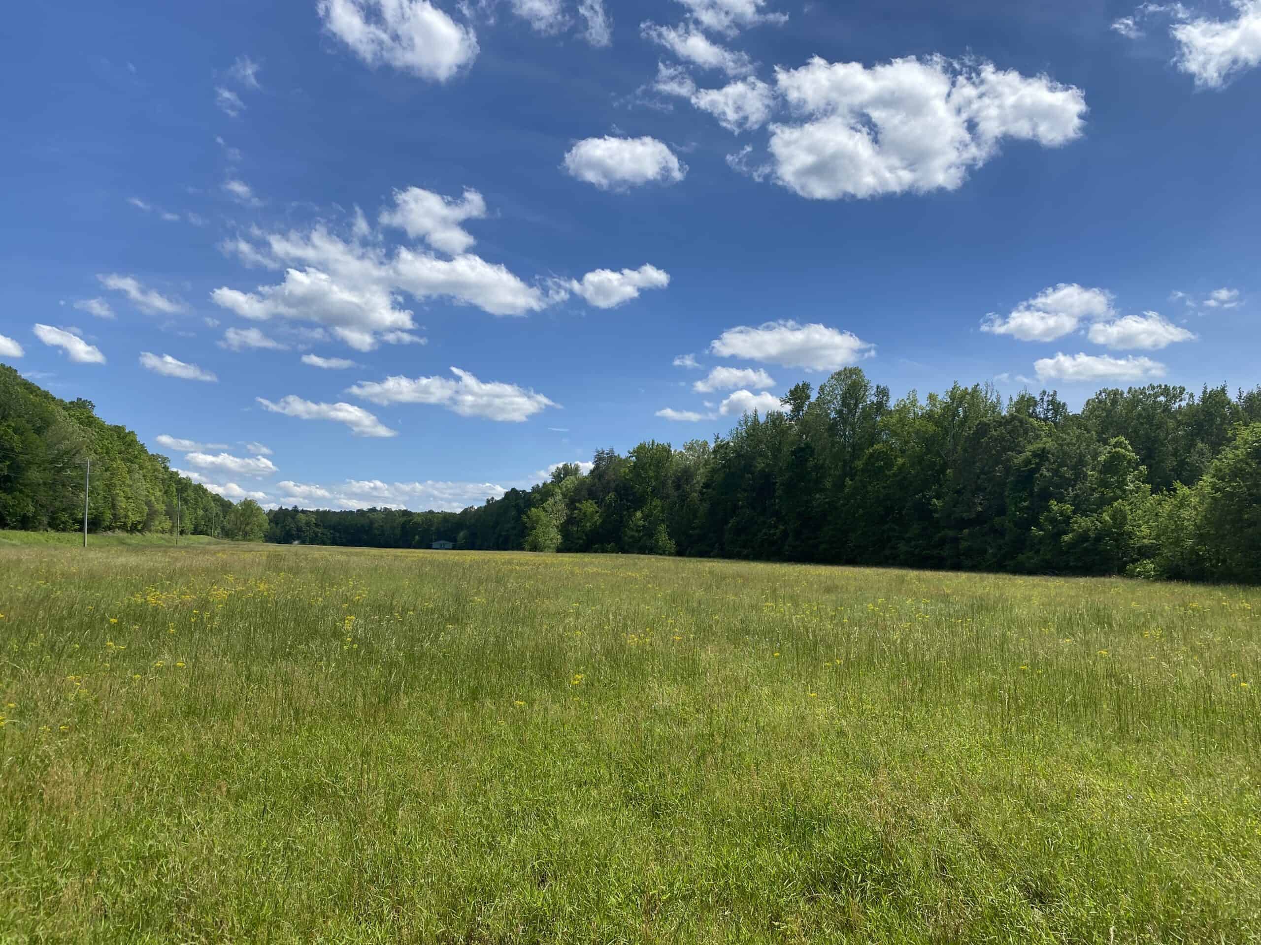 LAND FOR SALE IN TN, 39 AC+/-, CREEK, OPEN & WOODED, HUNTING