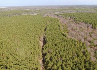 Juneau County 76 +/- Acre Parcel