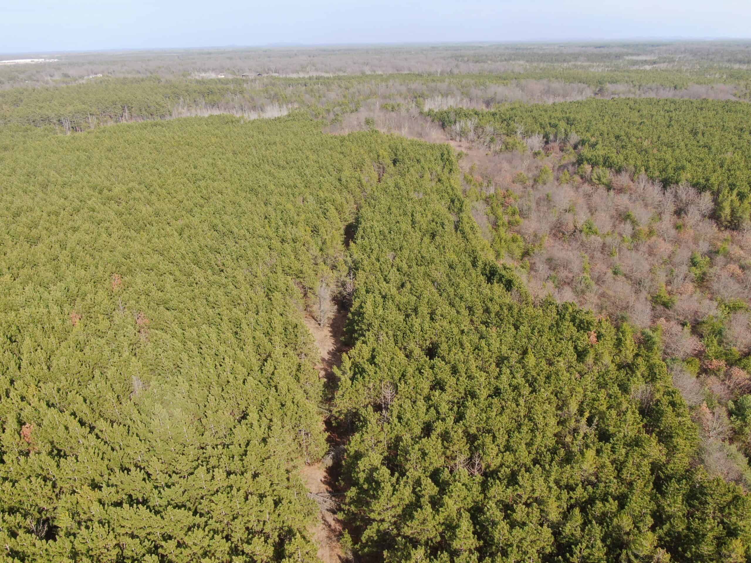 Juneau County 76 +/- Acre Parcel