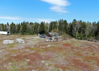 120± Acres of Land with Camp and Blueberry Field