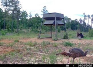 586 Hunting Land in the Catahoula Hills with Creek