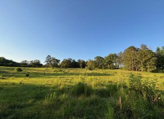 Private Country Retreat in Lawrence County