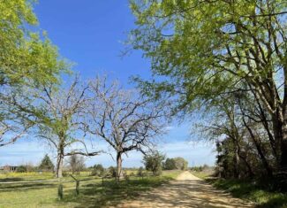 Recreational Ranch North of Houston near Grapeland TX