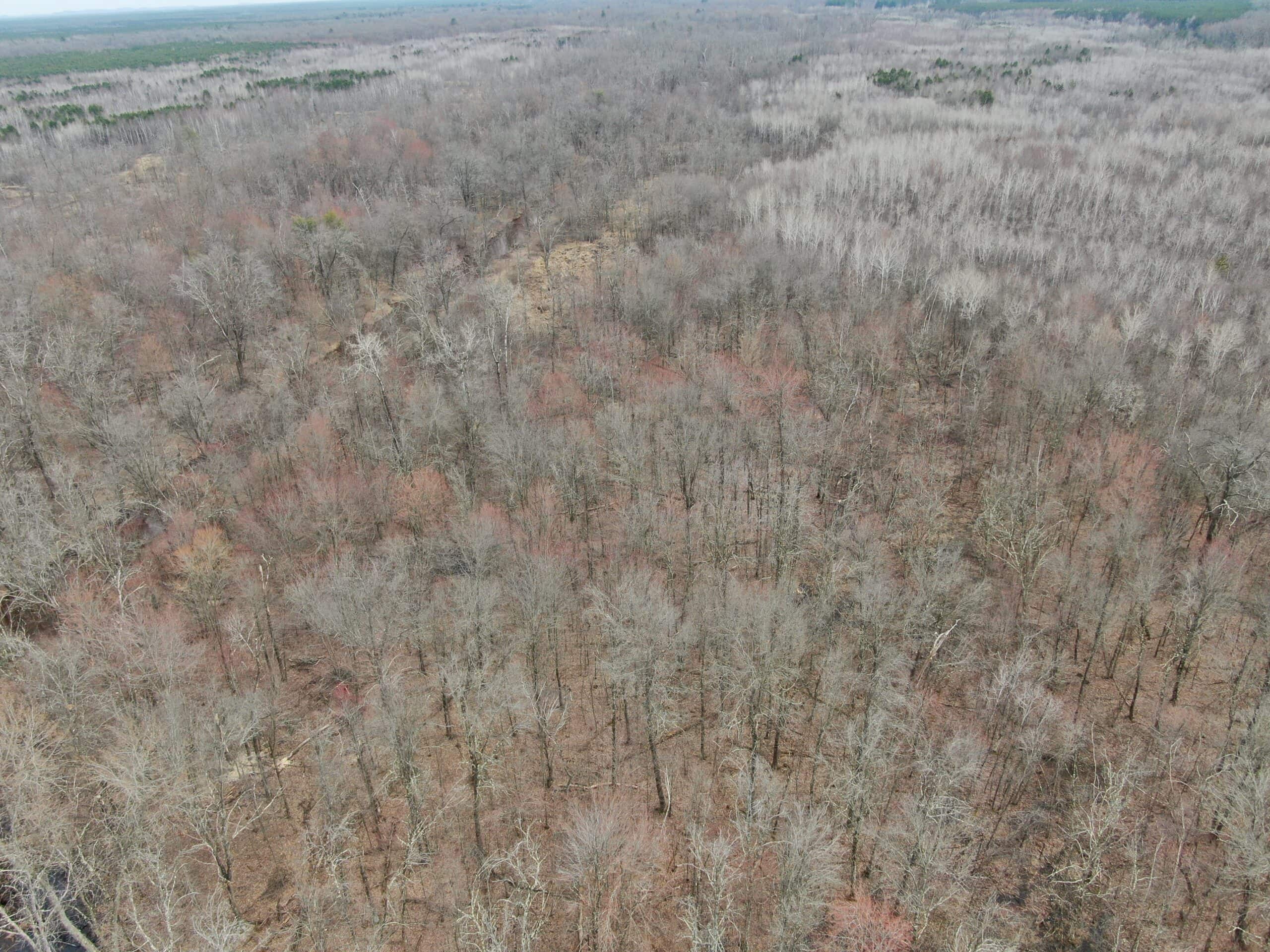 Juneau County WI 360 Acre Outdoor Paradise