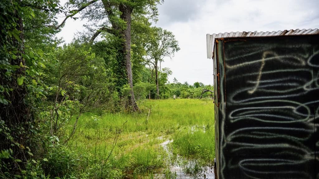 Hunting Land for Sale Morehouse Parish, LA