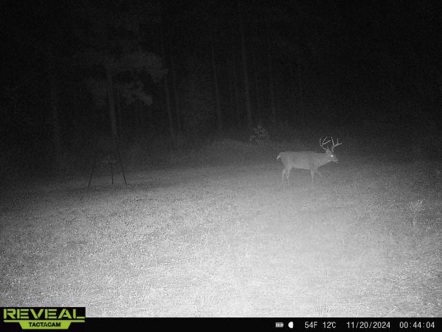 Turnkey Pike County, MS 70 Acres Hunting Property