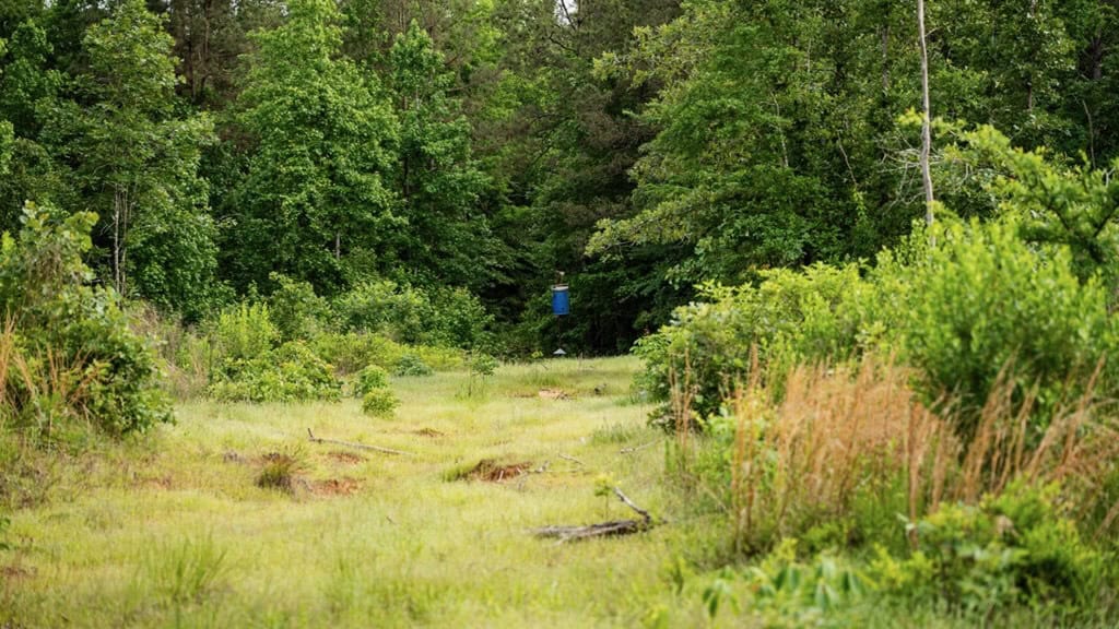 586 Hunting Land in the Catahoula Hills with Creek