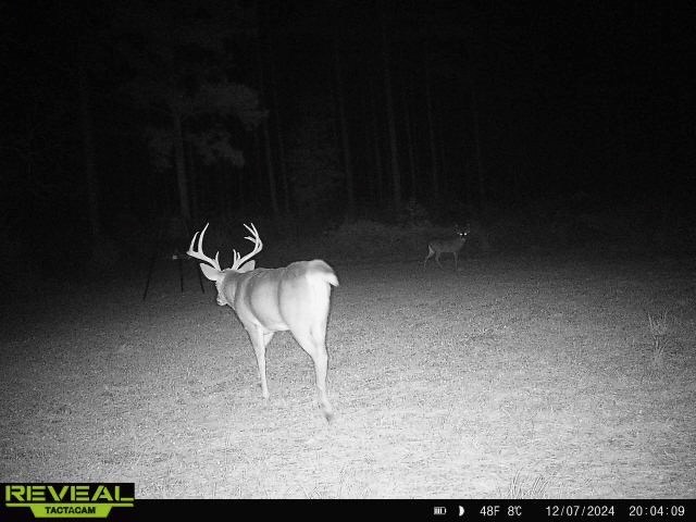 Turnkey Pike County, MS 70 Acres Hunting Property