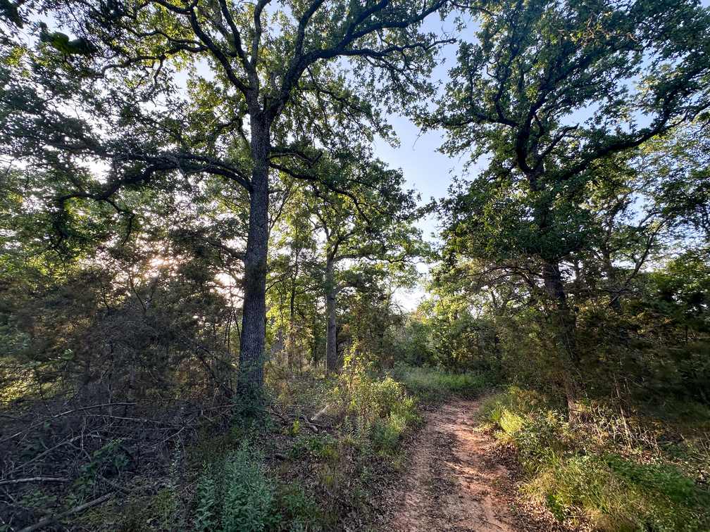 32-Acre Live Water Property with Leon River Frontage in Gatesville, TX