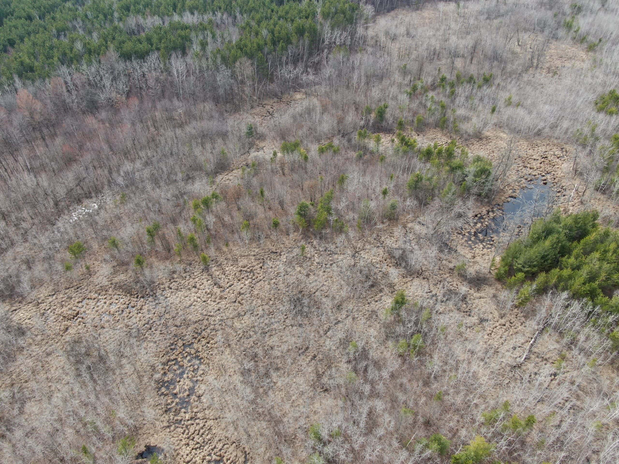 Juneau County WI 360 Acre Outdoor Paradise
