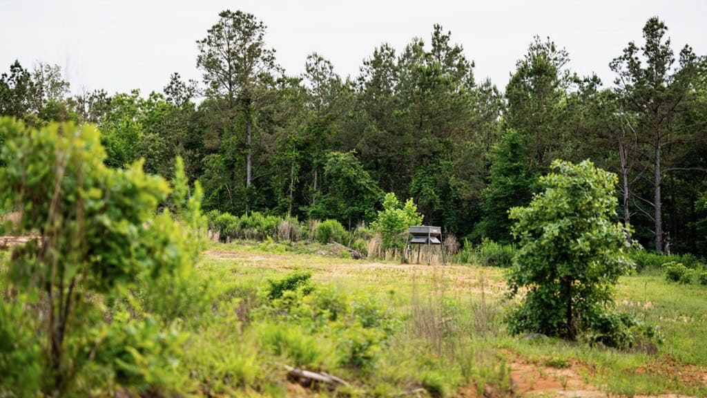 586 Hunting Land in the Catahoula Hills with Creek