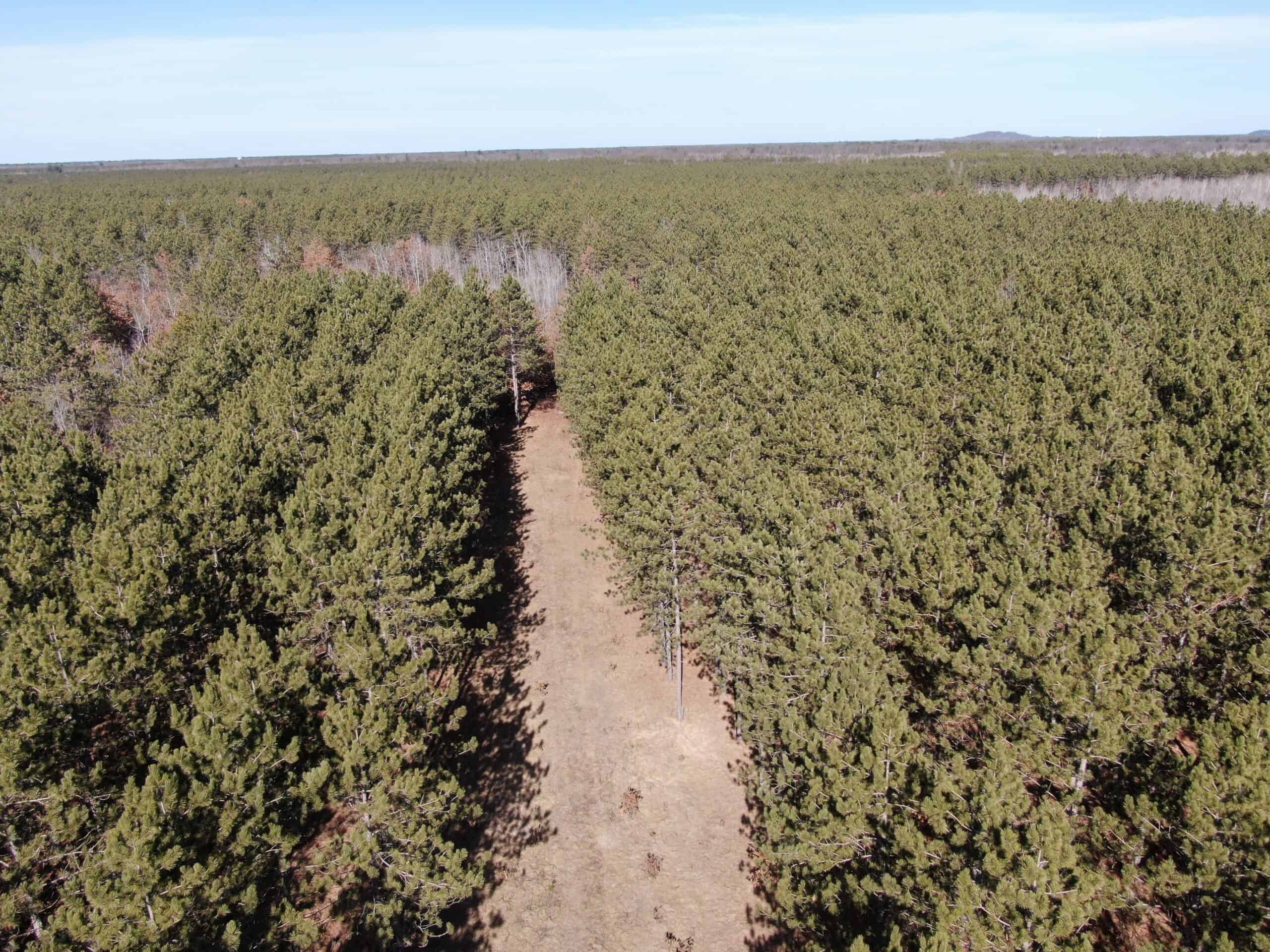 Juneau County WI 200-Acre Tract of Land