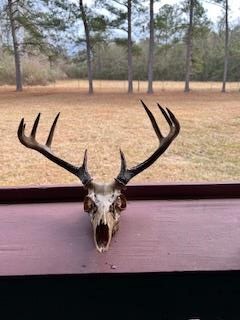 Turnkey Pike County, MS 70 Acres Hunting Property