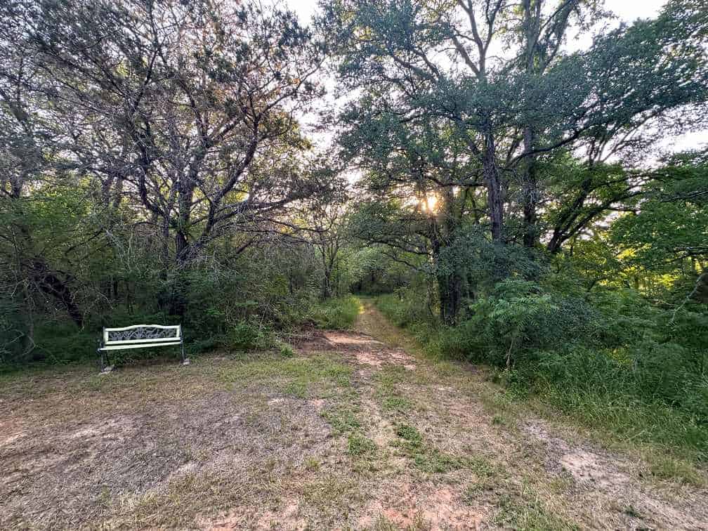 32-Acre Live Water Property with Leon River Frontage in Gatesville, TX