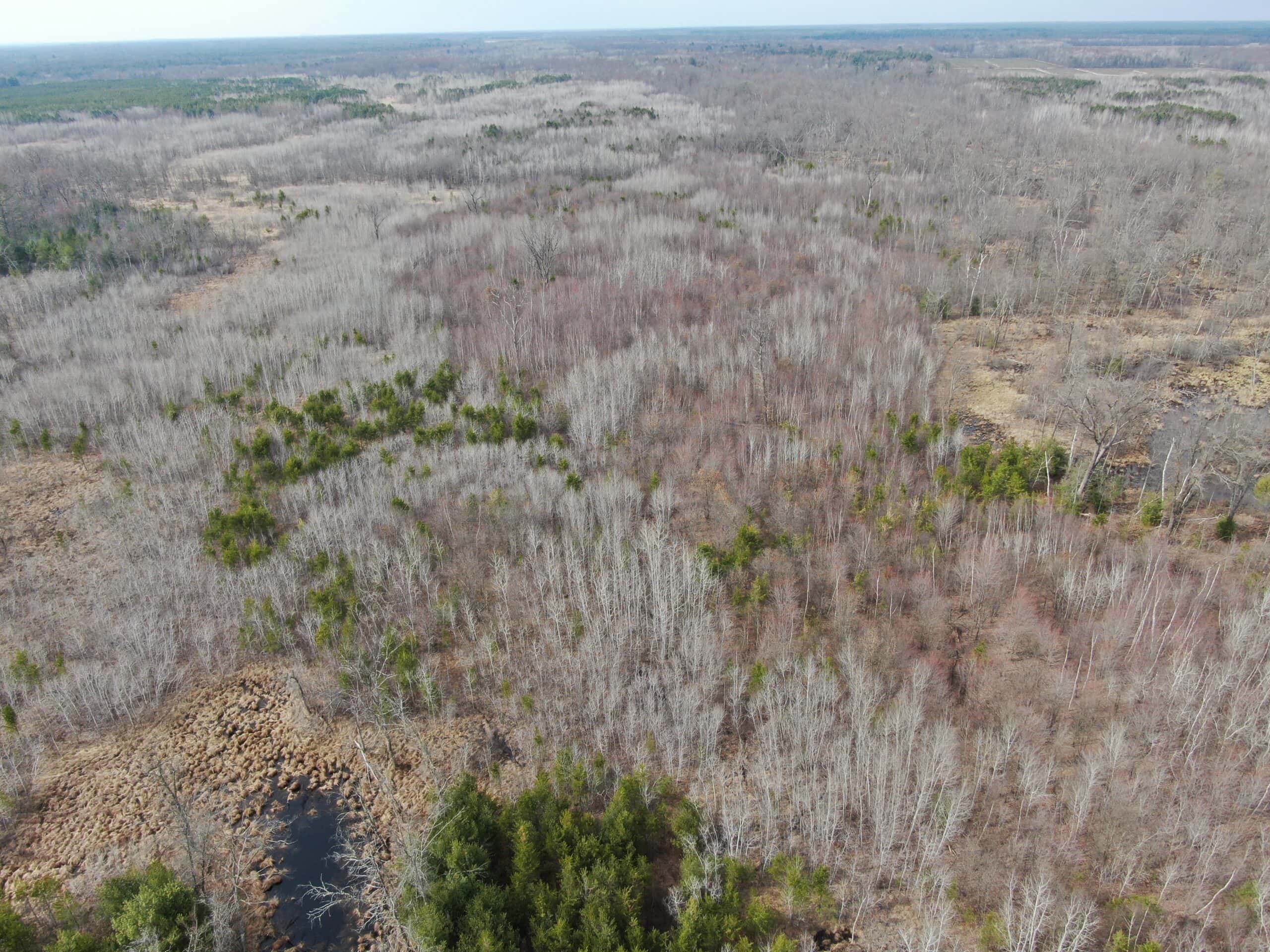 Juneau County WI 360 Acre Outdoor Paradise