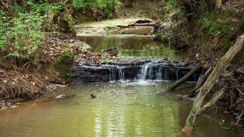586 Hunting Land in the Catahoula Hills with Creek