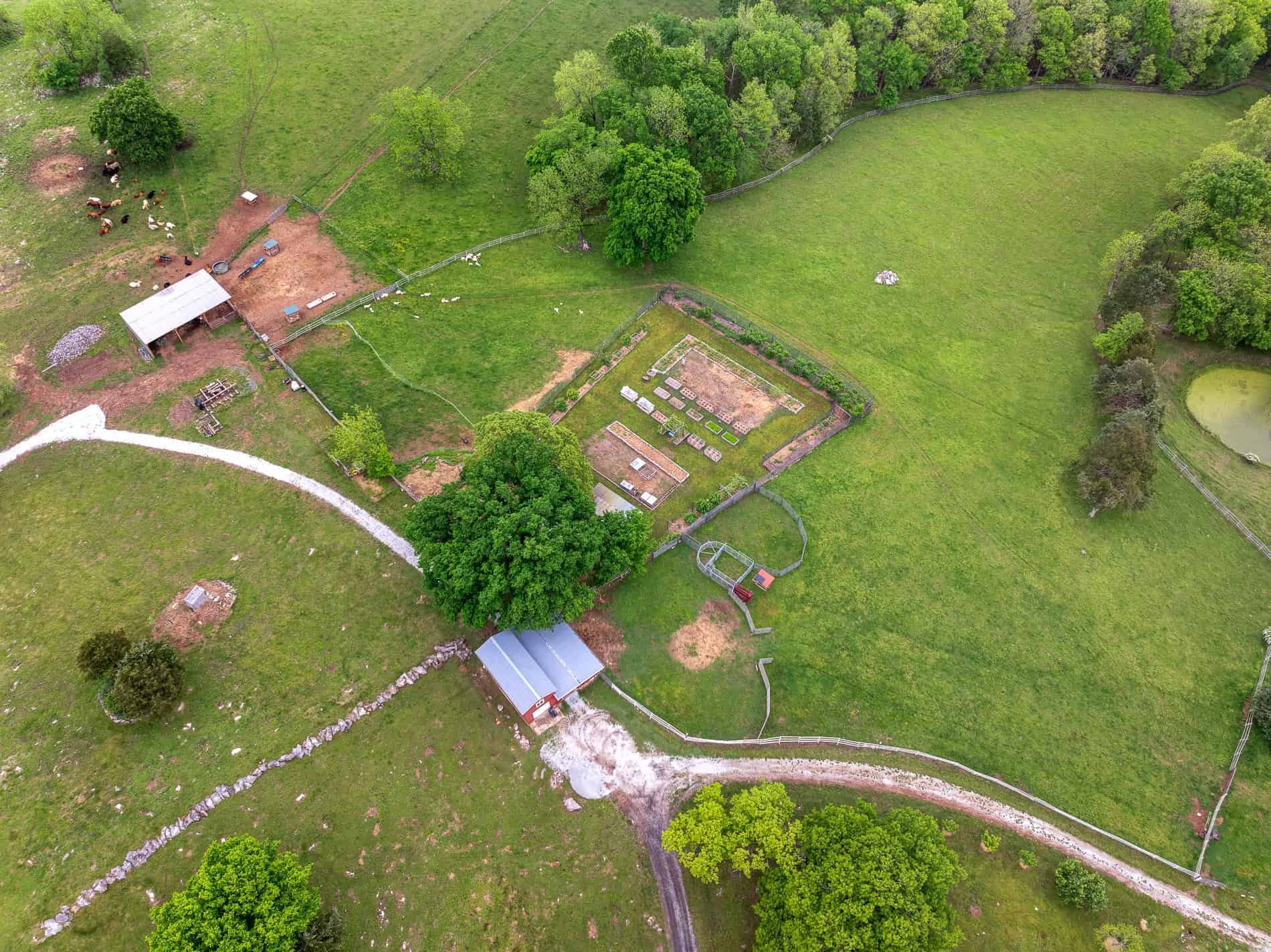 74 Acre Homesteaders paradise