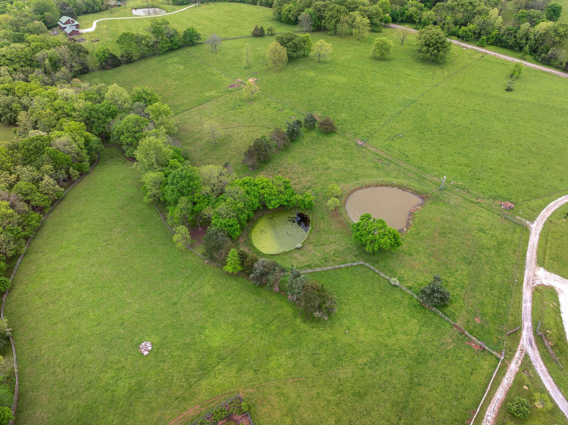 74 Acre Homesteaders paradise