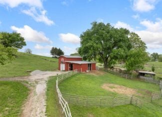 74 Acre Homesteaders paradise