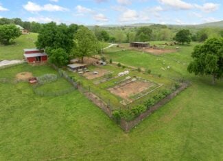 74 Acre Homesteaders paradise