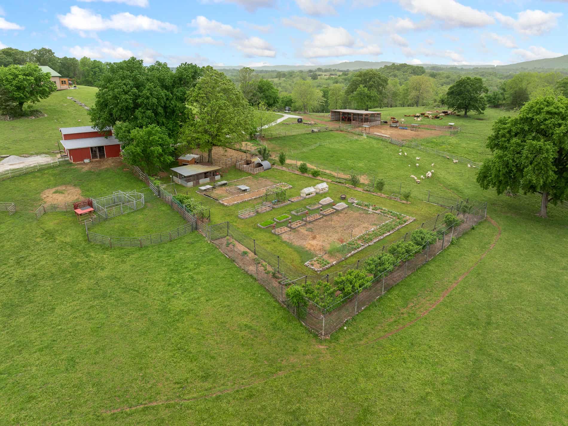 74 Acre Homesteaders paradise
