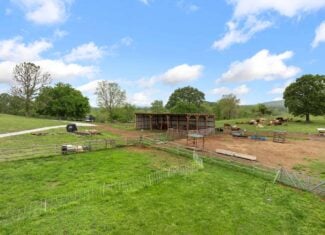 74 Acre Homesteaders paradise