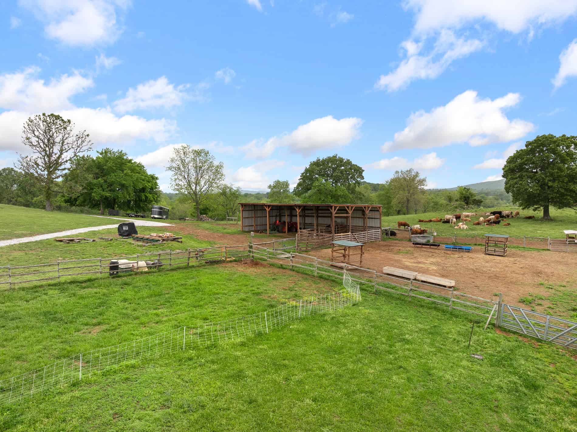 74 Acre Homesteaders paradise