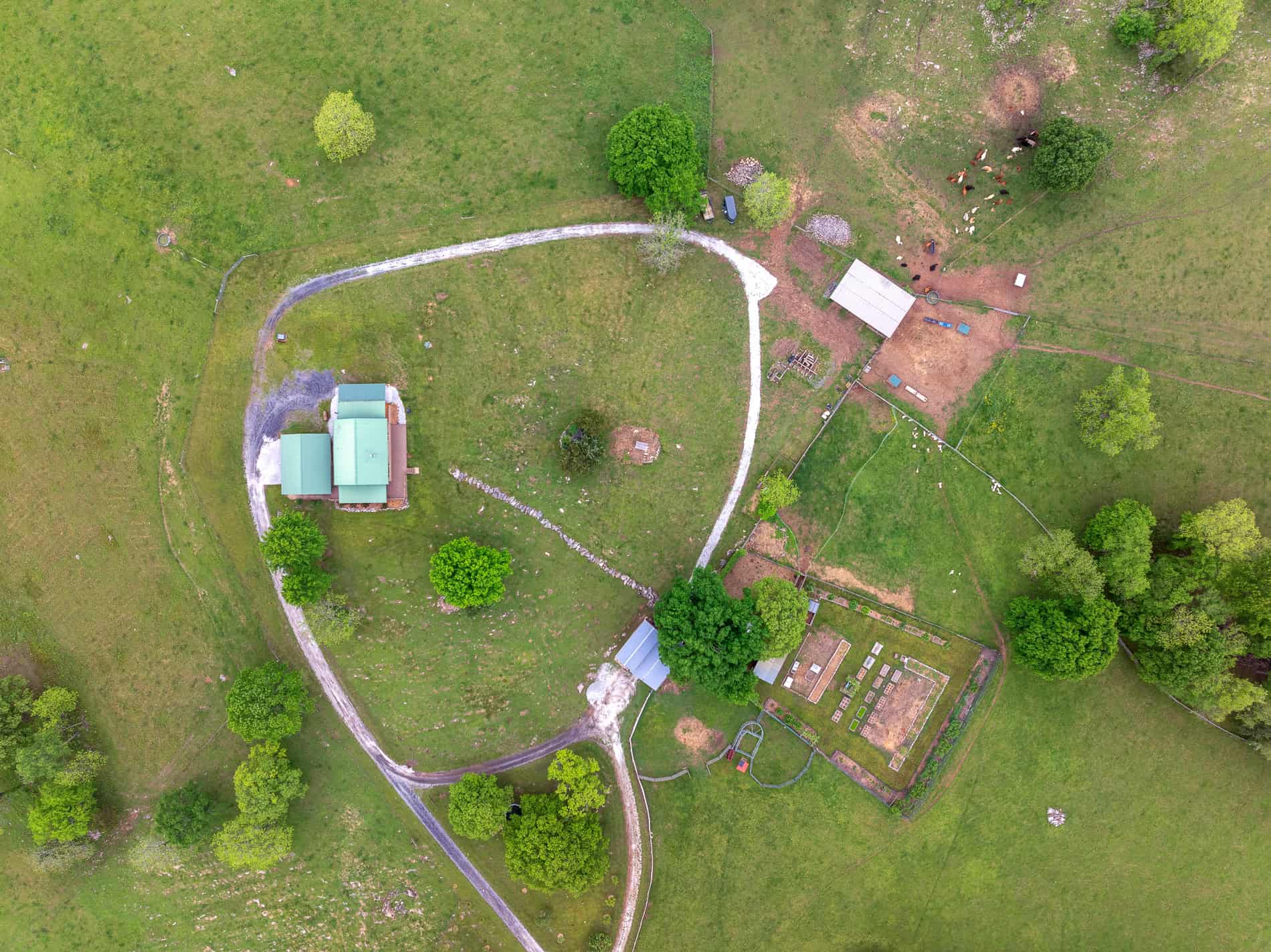 74 Acre Homesteaders paradise