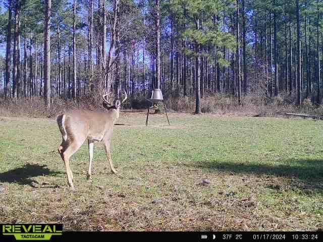 Turnkey Pike County, MS 70 Acres Hunting Property