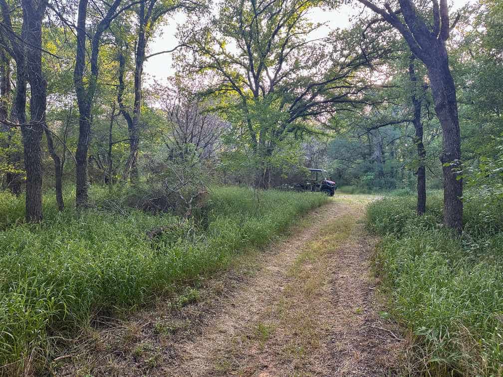 32-Acre Live Water Property with Leon River Frontage in Gatesville, TX