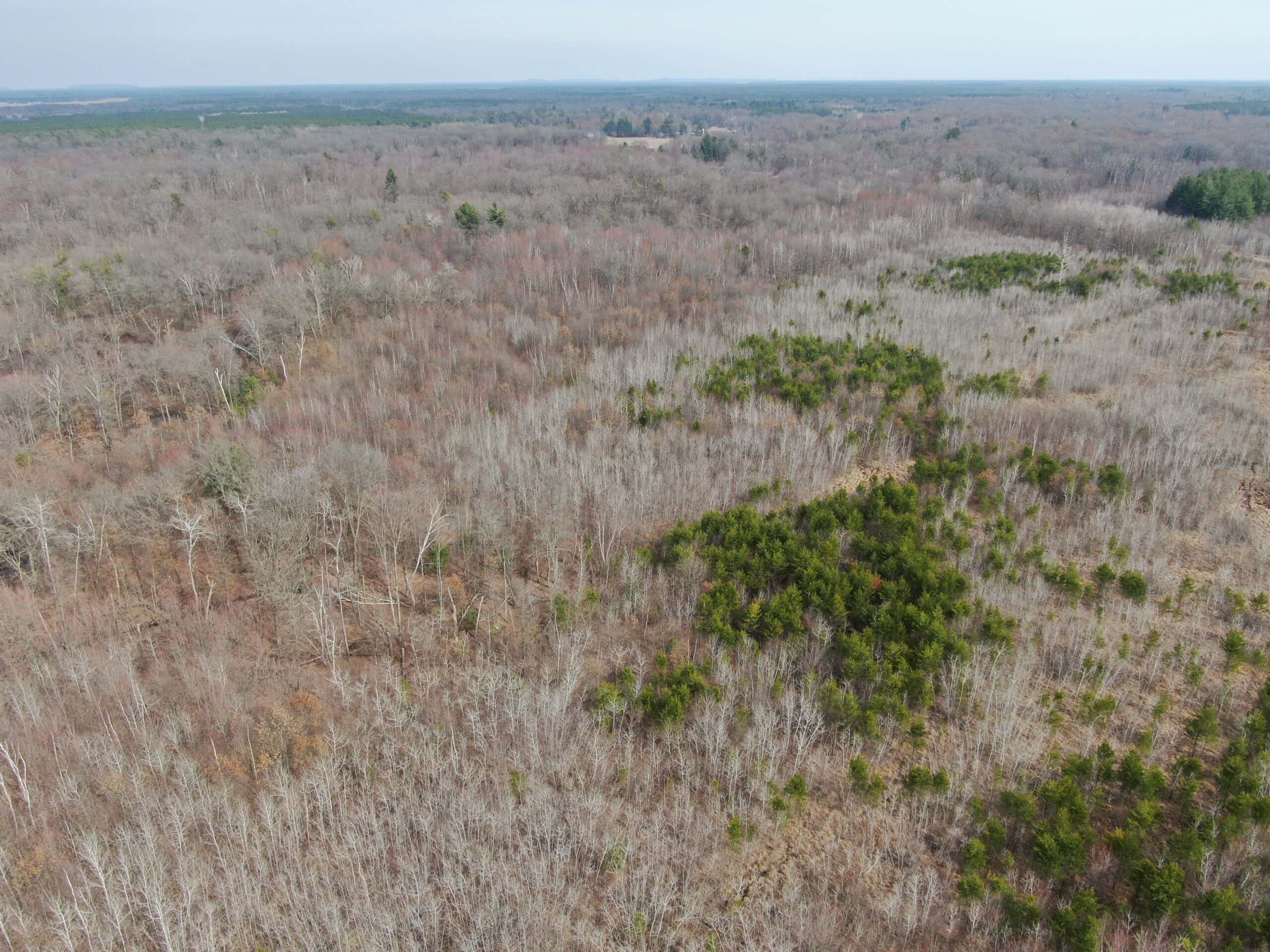 Juneau County WI 360 Acre Outdoor Paradise