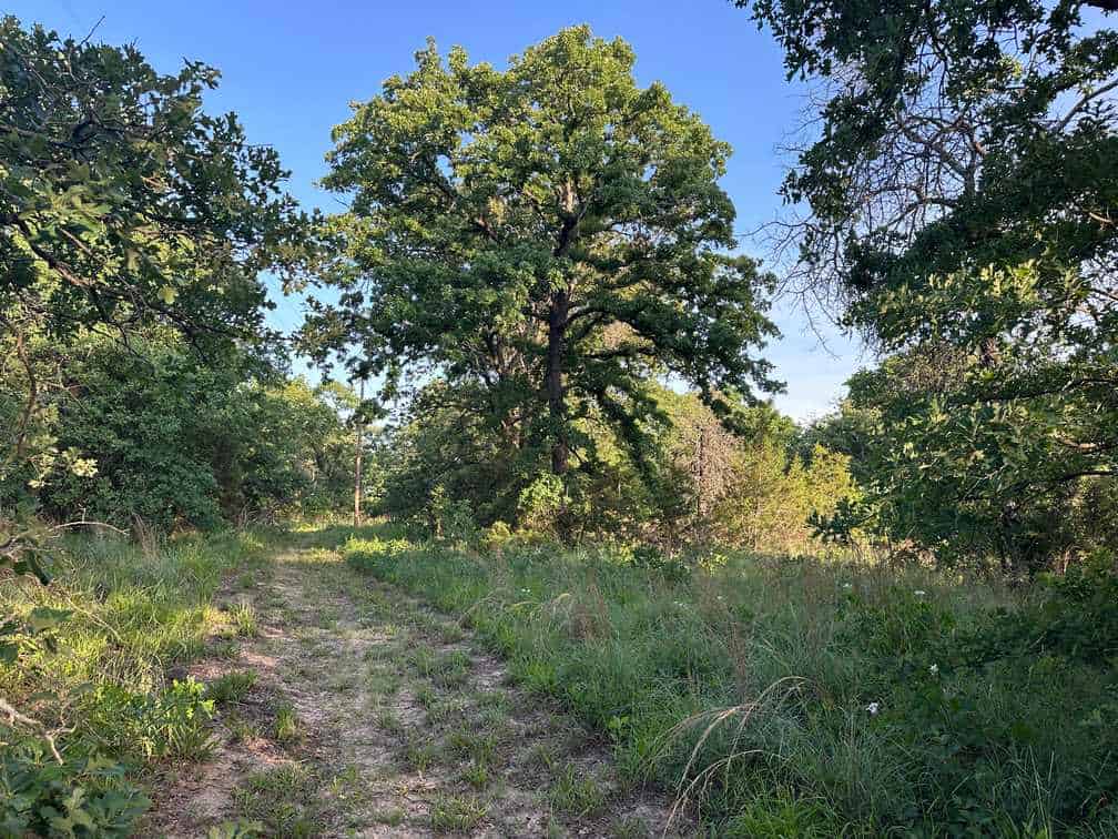 32-Acre Live Water Property with Leon River Frontage in Gatesville, TX