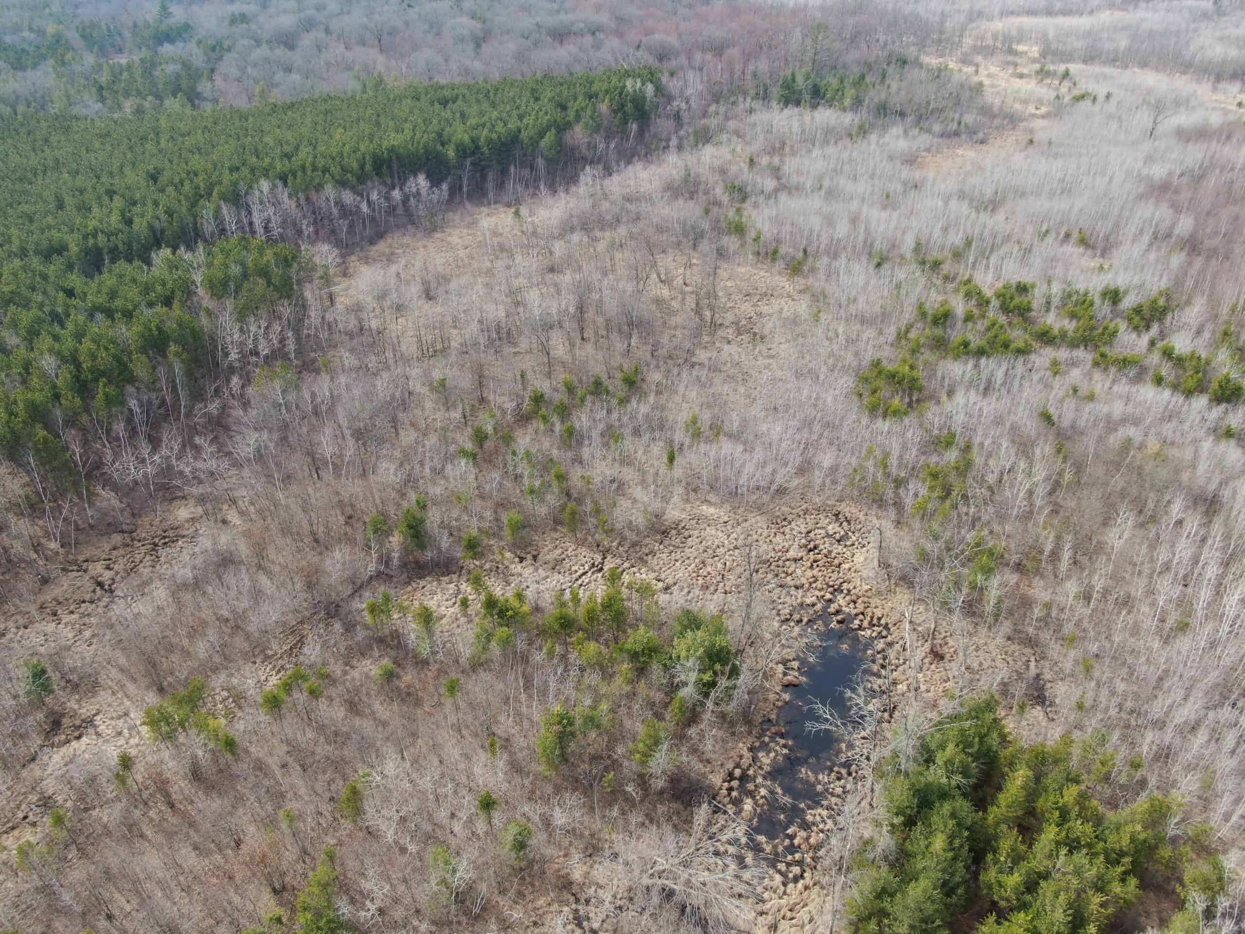 Juneau County WI 360 Acre Outdoor Paradise