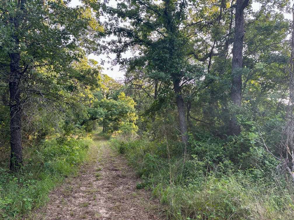 32-Acre Live Water Property with Leon River Frontage in Gatesville, TX