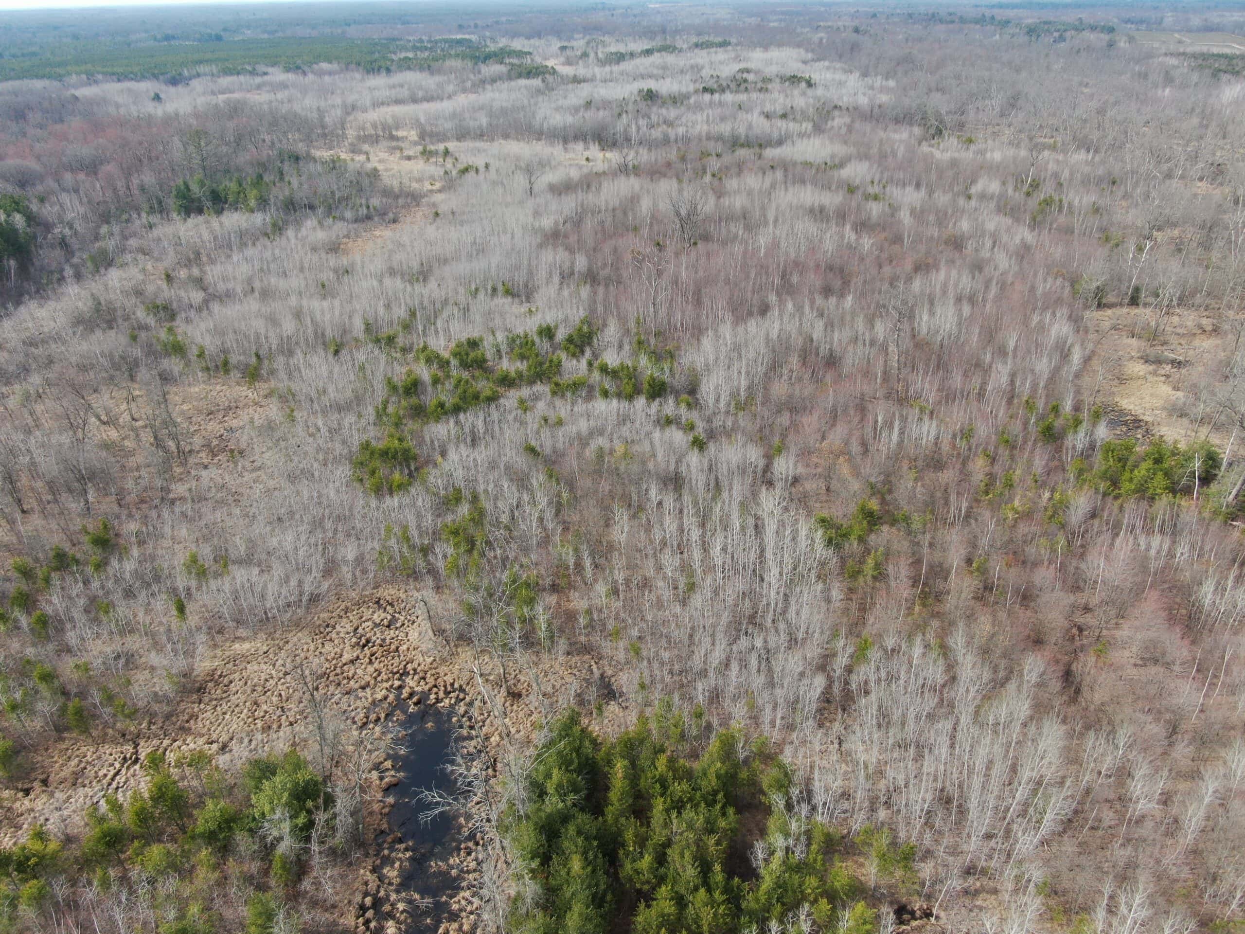 Juneau County WI 360 Acre Outdoor Paradise