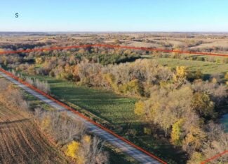 80 ± Acre Southern Parcel Farmland for Sale in Blockton, IA