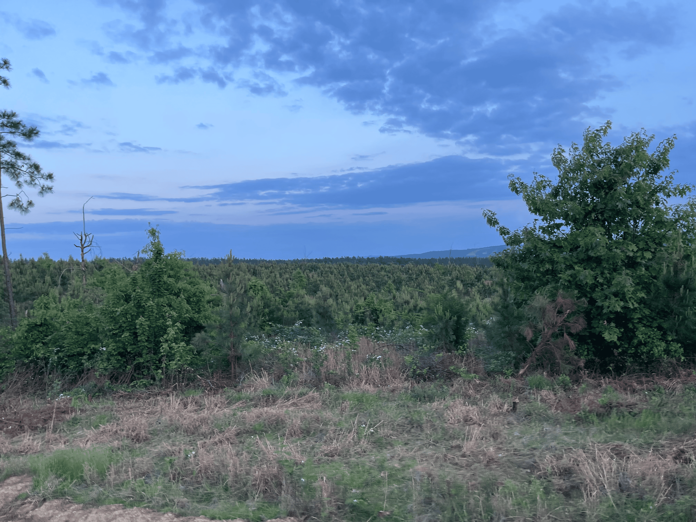40 acres mol located just off of Wild Horse Trail in McCurtain, County, OK