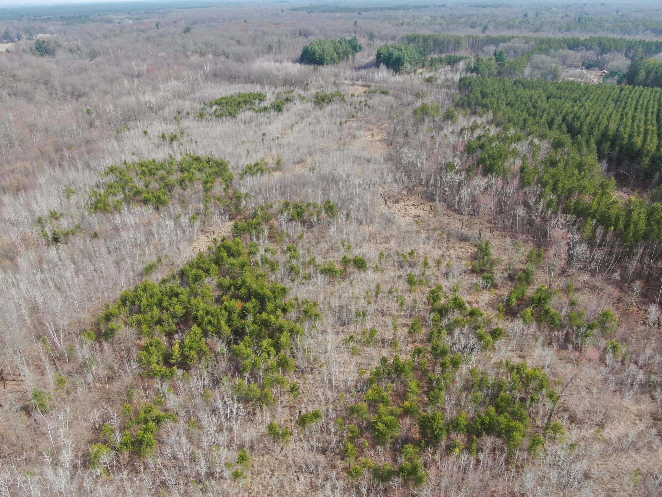 Juneau County WI 360 Acre Outdoor Paradise