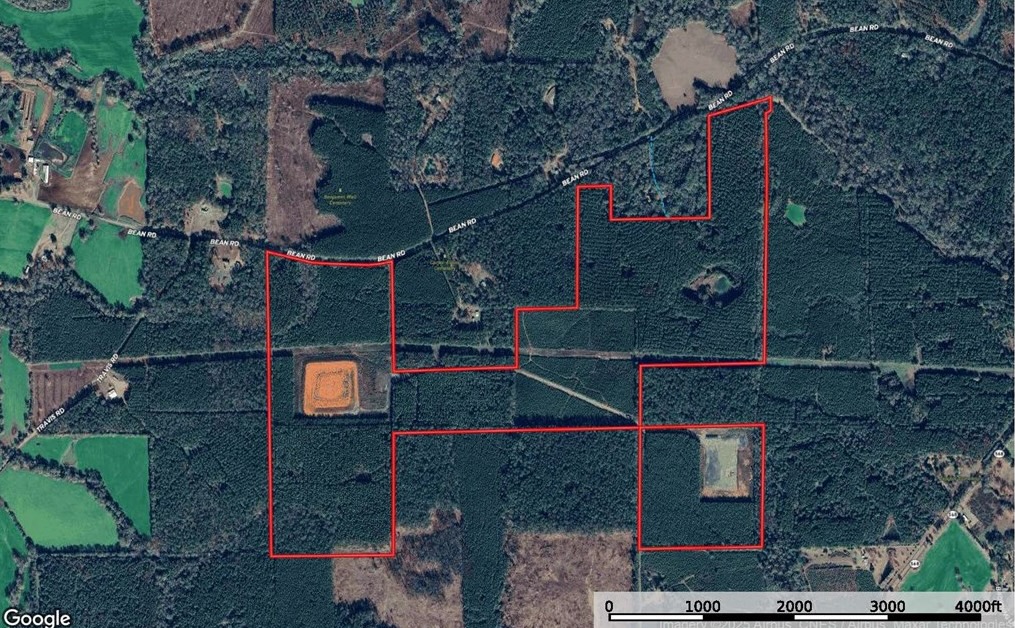South Mississippi Hunting Paradise for Sale Amite County,MS
