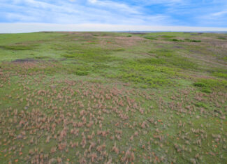 880± Acres of Hunting, Fishing & Ranch Land in Western Oklahoma for Sale