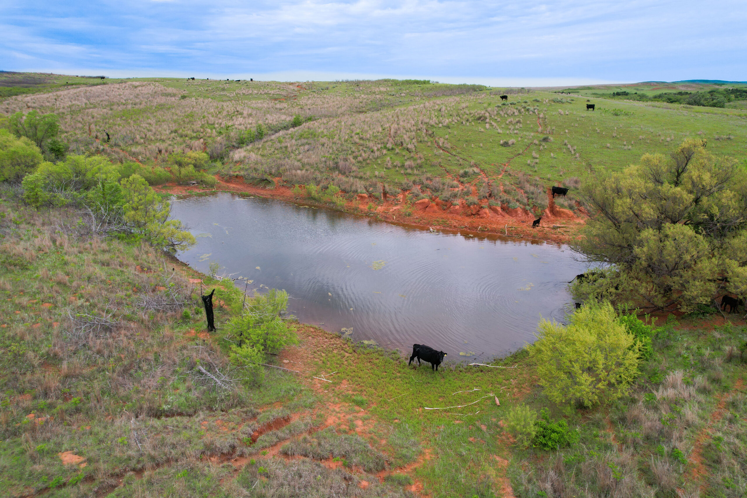 880± Acres of Hunting, Fishing & Ranch Land in Western Oklahoma for Sale