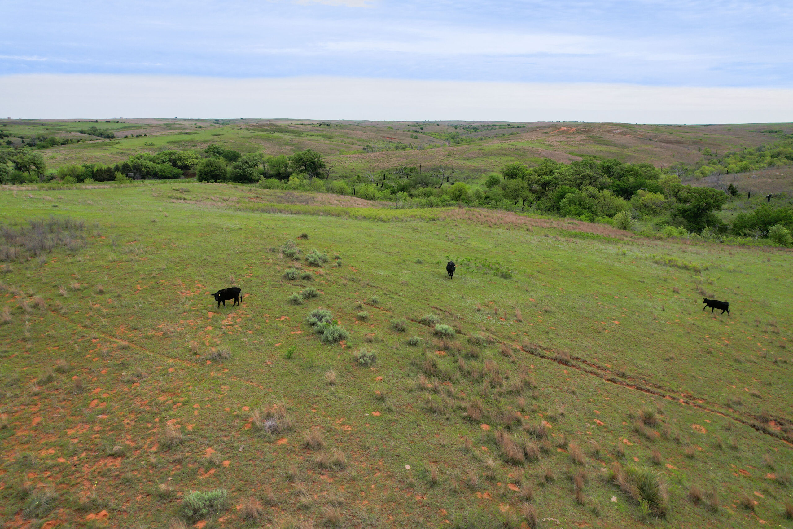 880± Acres of Hunting, Fishing & Ranch Land in Western Oklahoma for Sale