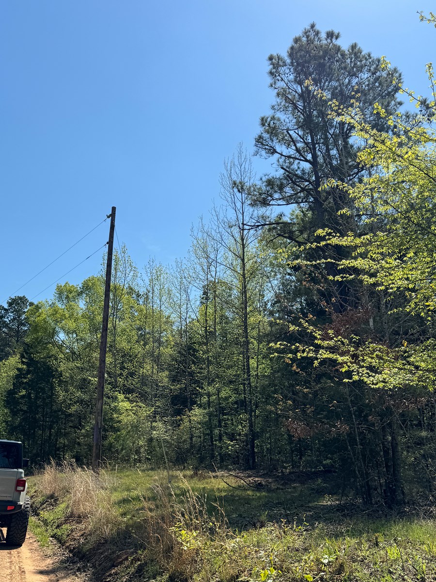 Excellent Off Grid Homesite in Miller County