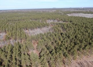 Juneau County WI 200-Acre Tract of Land