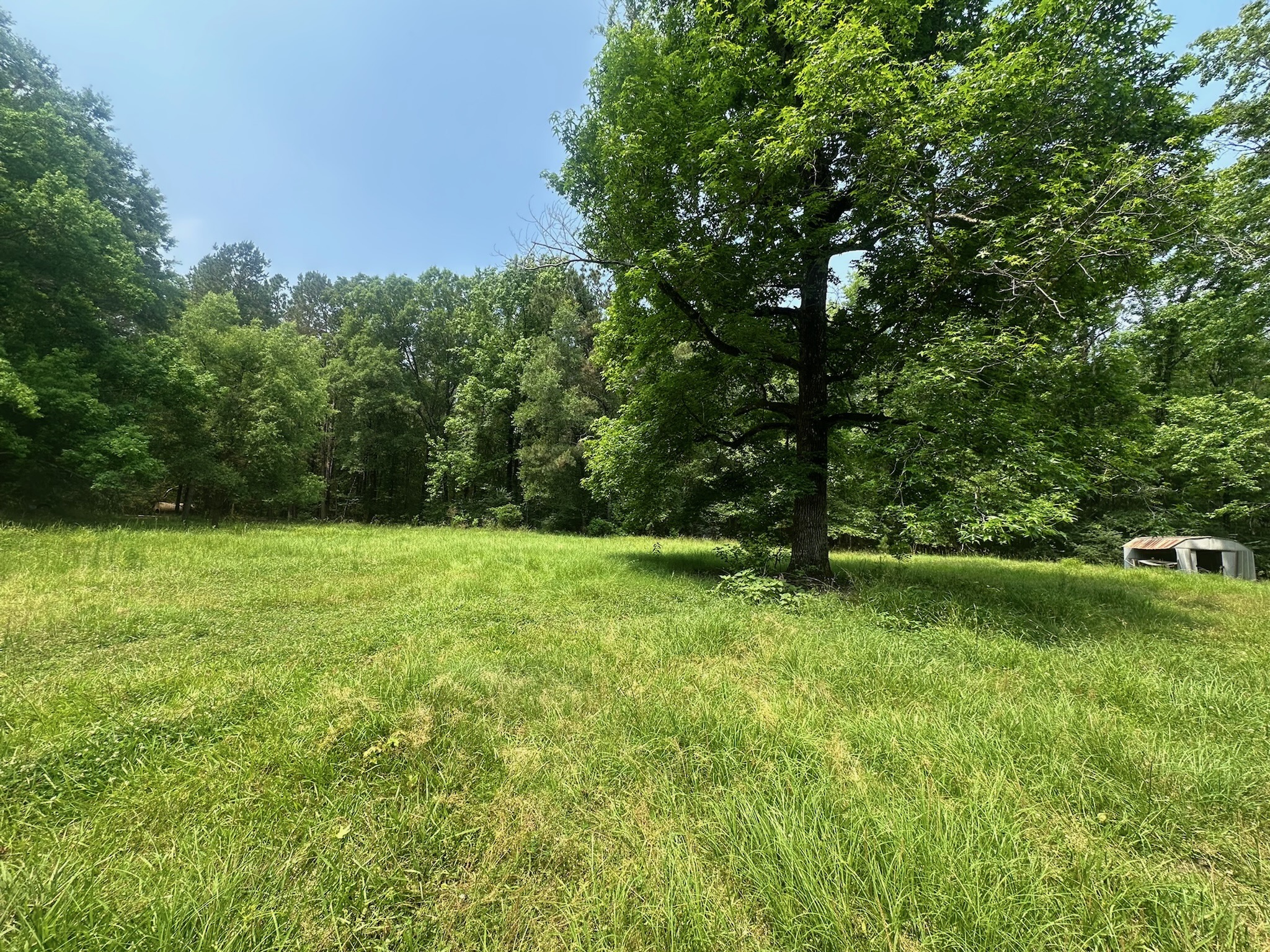 70 Acre Hunting Property with Camp Spot and Utilities