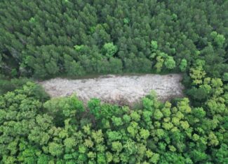 51 Acres of Hunting Land for Sale in Roxie, Mississippi