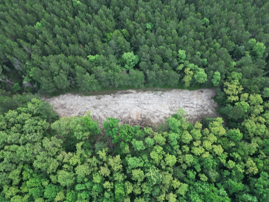 51 Acres of Hunting Land for Sale in Roxie, Mississippi